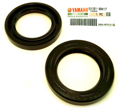 Сальник 9310130M1700